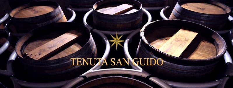 Sassicaia 1999 Tenuta San Guido | Your personal wine professional