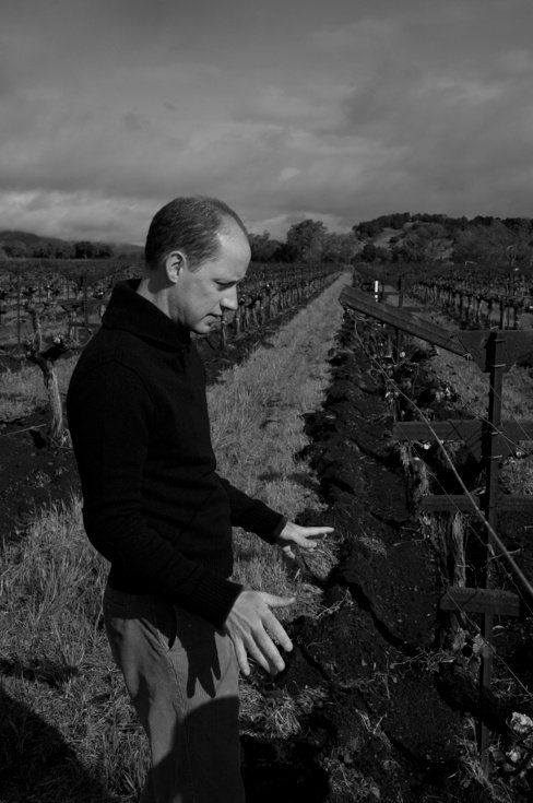 Dominus 1991 Dominus Estate | Your personal wine professional