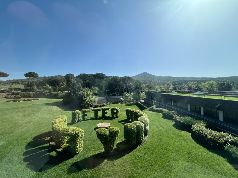 Ornellaia 2015 Ornellaia | Your personal wine professional