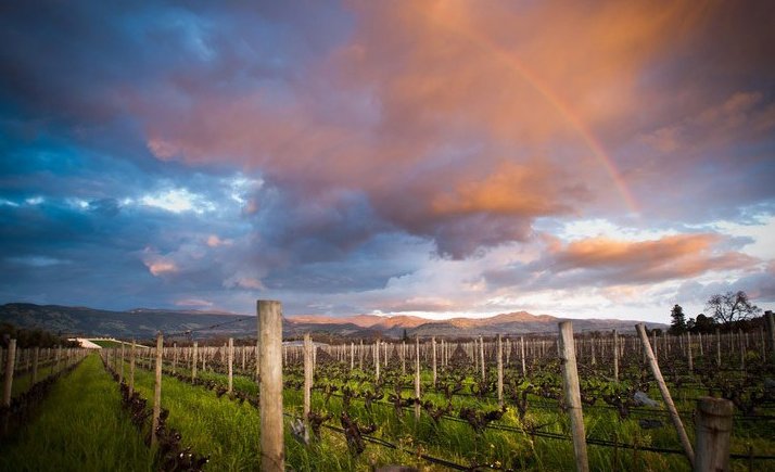 Opus One 2011 Opus One | Your personal wine professional | Tastingbook