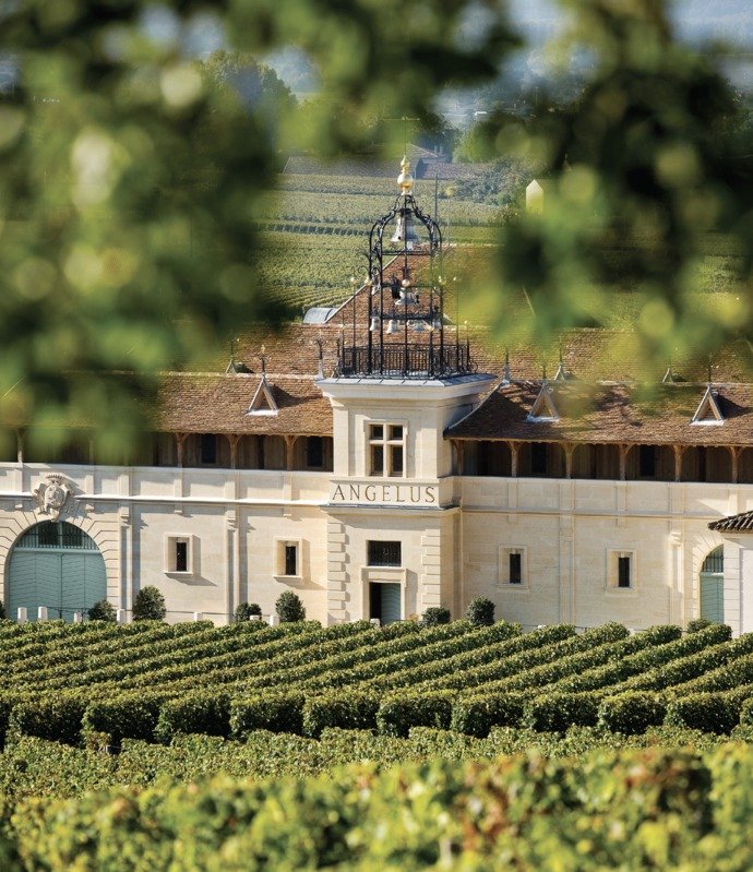Château Angelus 2019 Château Angelus | Your personal wine