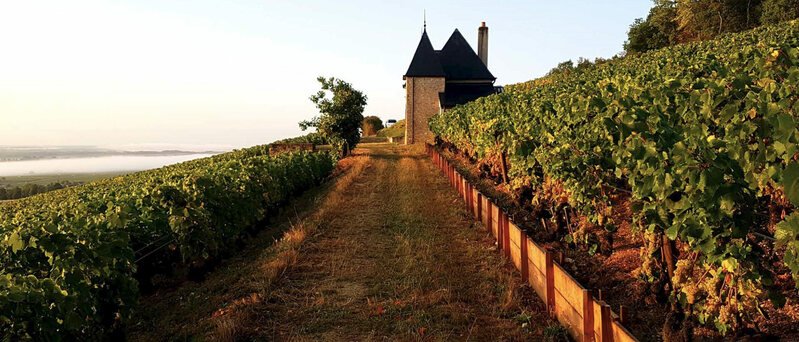 Clos-de-la-Roche Vieilles-Vignes 1986 Domaine Ponsot | Your