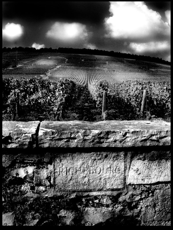 Echézeaux 2015 Domaine de la Romanée-Conti | Your personal