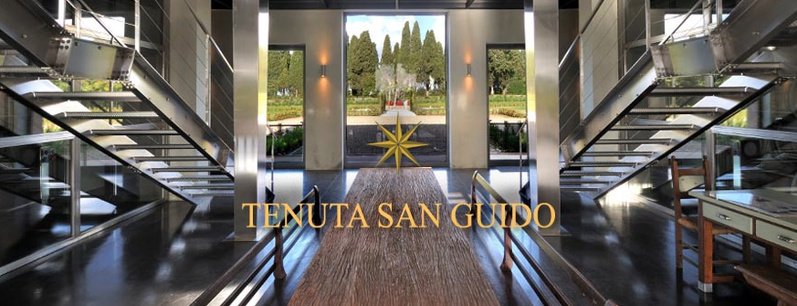Sassicaia 1997 Tenuta San Guido | Your personal wine professional