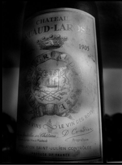 Château Gruaud-Larose 1995 Château Gruaud-Larose | Your