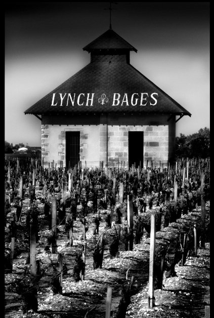 ワイン 1989 Pauillac CHATEAU LYNCH BAGES 1989 Lynch Bages coats your mouth with chocolate covered cassis