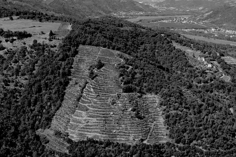 Hermitage 1990 Domaine Jean-Louis Chave | Your personal wine