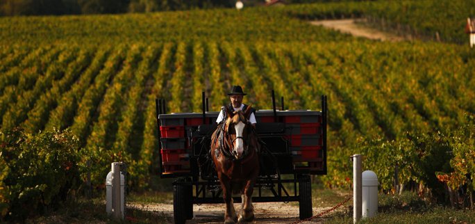 Château Pontet Canet 2015 Château Pontet Canet | Your personal