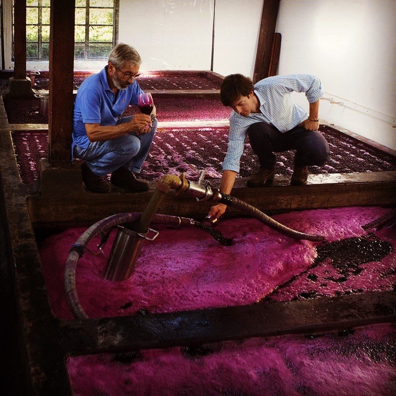 Hill of Grace 2005 Henschke | Your personal wine