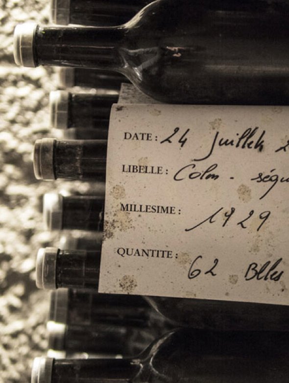Château Calon Ségur 1985 Château Calon-Ségur | Your personal wine