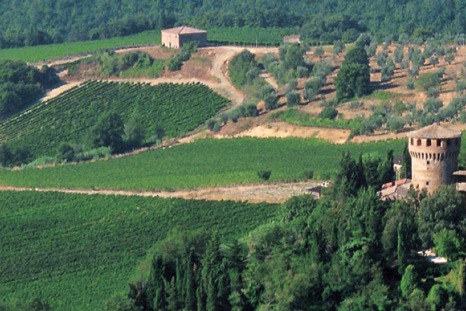1977年　TIGNANELLO 1977 Antinori Tignanello - CellarTracker