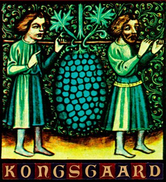 Kongsgaard, logo 