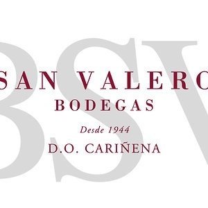 Bodegas San Valero, logo 