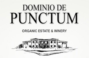 Dominio Punctum, logo 