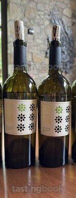 White wine, Hershey Vineyard Sauvignon Blanc 2021