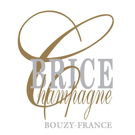 Brice, logo 