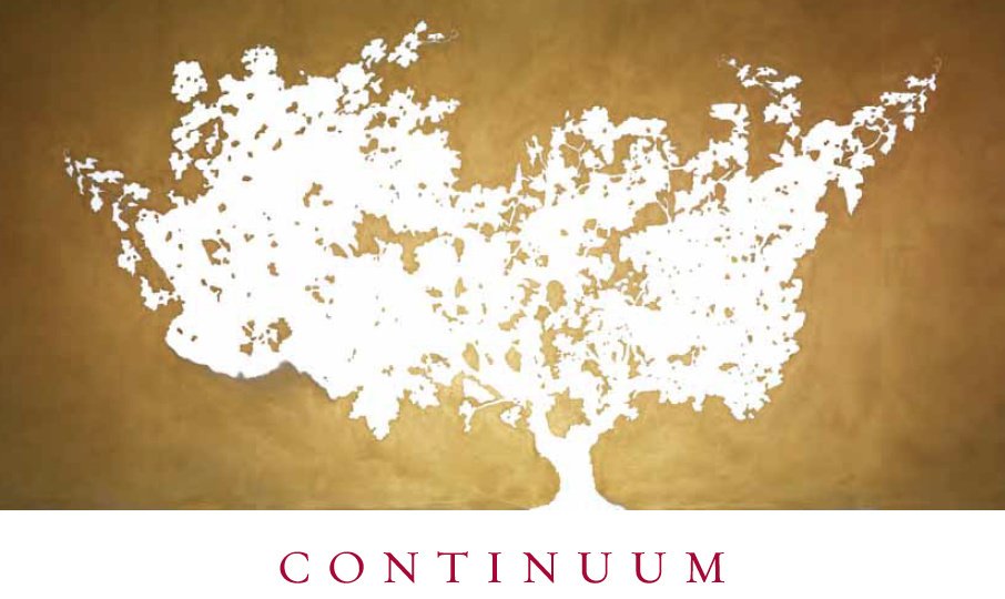 Continuum Estate, logo 