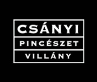 Csányi Pincészet , logo 