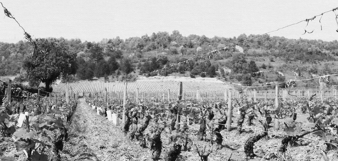 Domaine Henri Prudhon, logo 