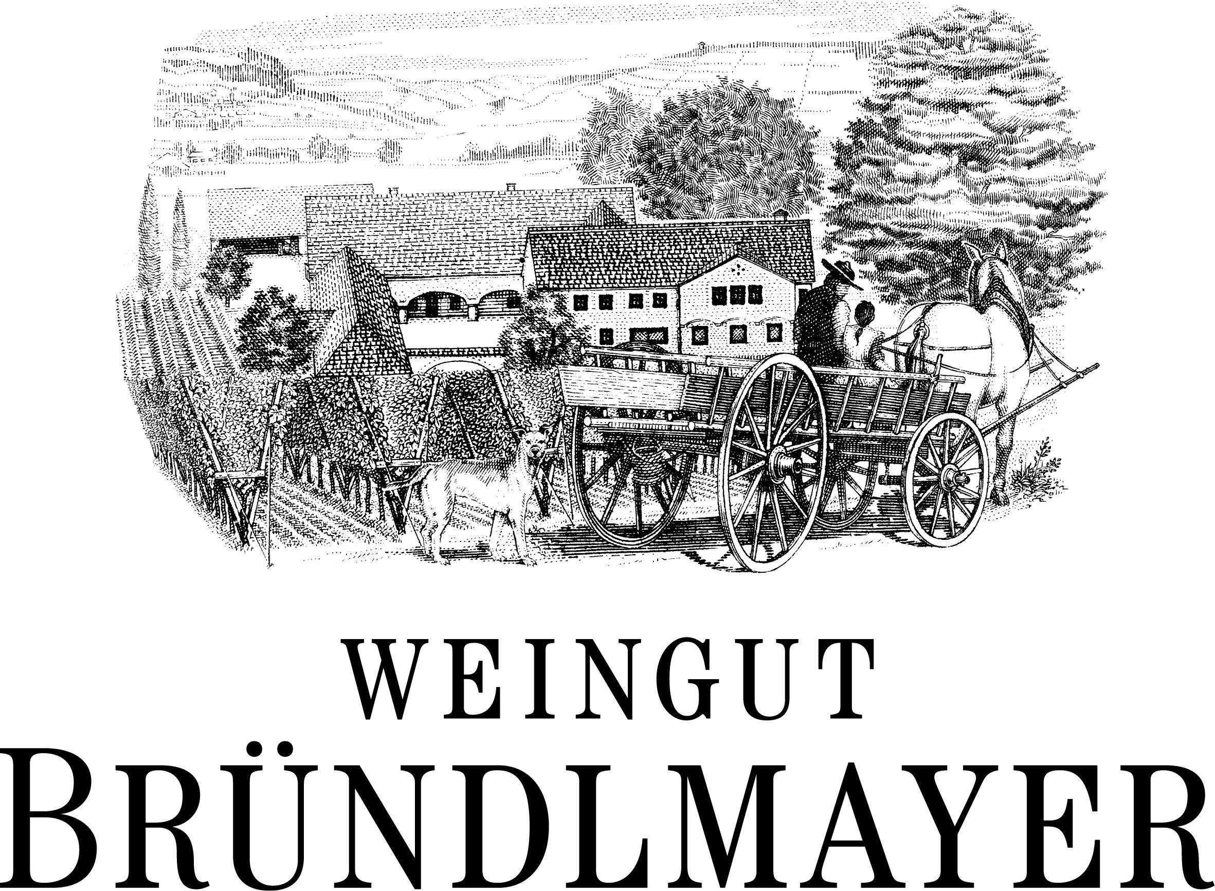 Weingut Bründlmayer, logo 
