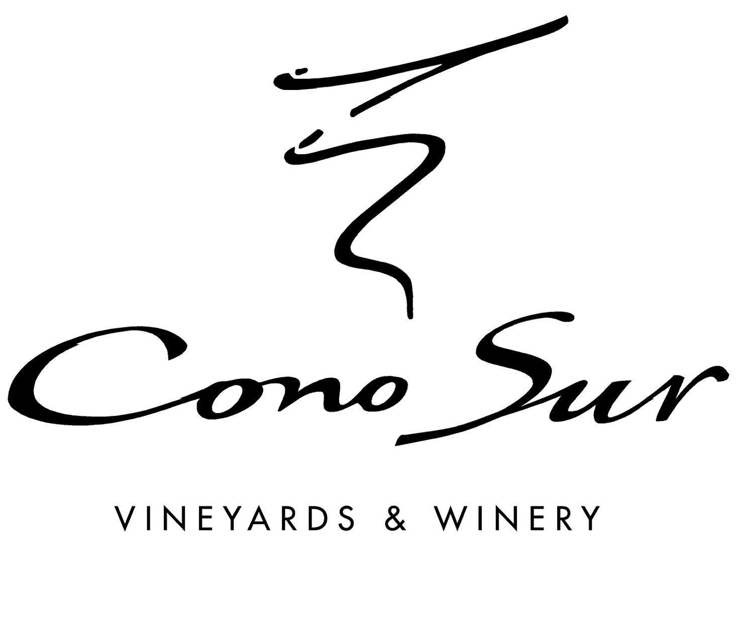Cono Sur Colchagua, Maipo, Chile | Your personal wine professional ...