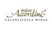 Stefano Accordini, logo 